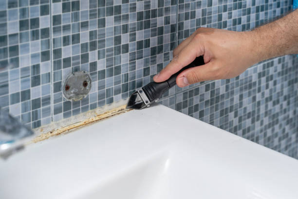 Best Emergency Mold Remediation in Indian Wells, CA