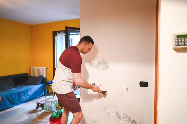 Best Mold Testing and Inspection Services in Indian Wells, CA